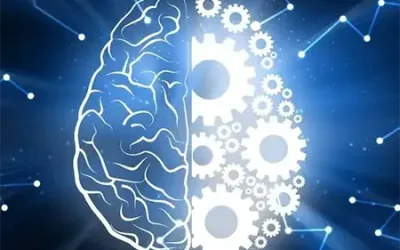 ¿Qué es Bioneuroemoción?